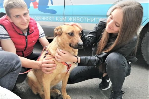 Что такое кракен маркетплейс курительный смесс