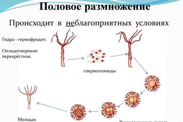 Кракен маркетплейс официальный сайт