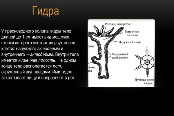 Официальная ссылка на кракен в тор