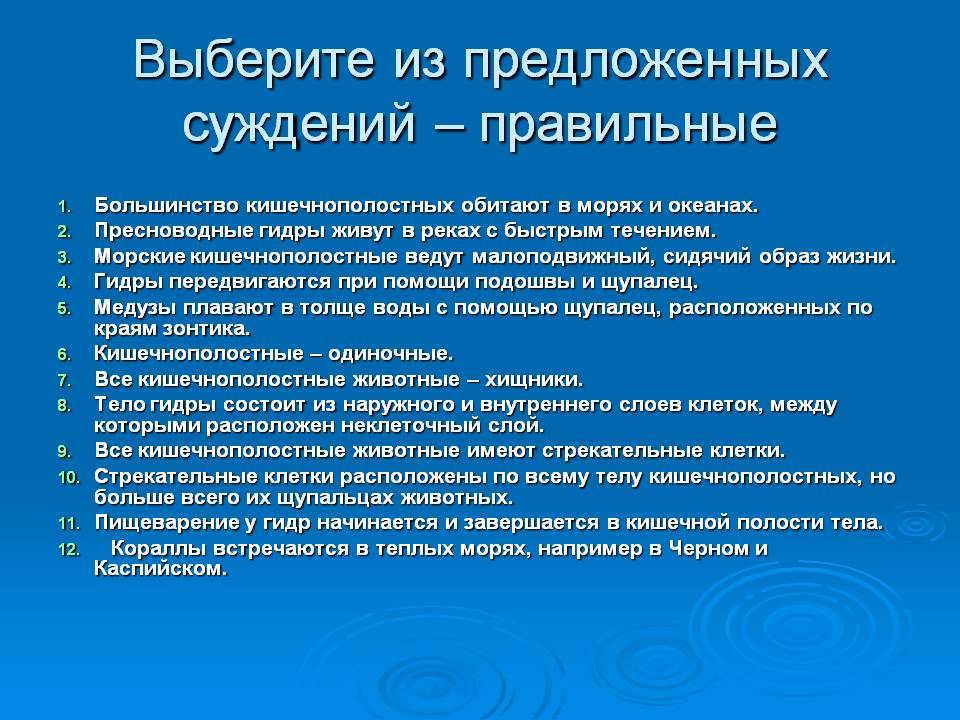 Кракен супернет что известно